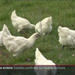 INFORMATION relative à l’influenza aviaire