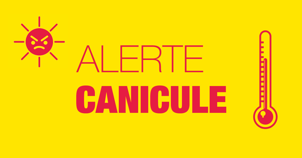 canicule-1200