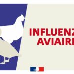 Information sanitaire : foyer de grippe aviaire