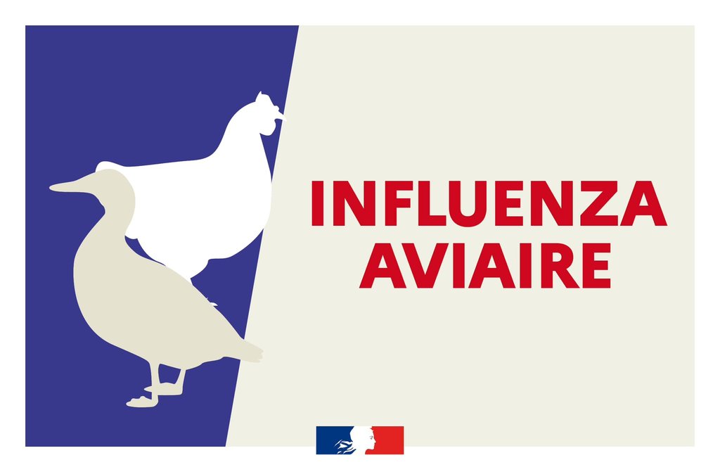 Information sanitaire : foyer de grippe aviaire